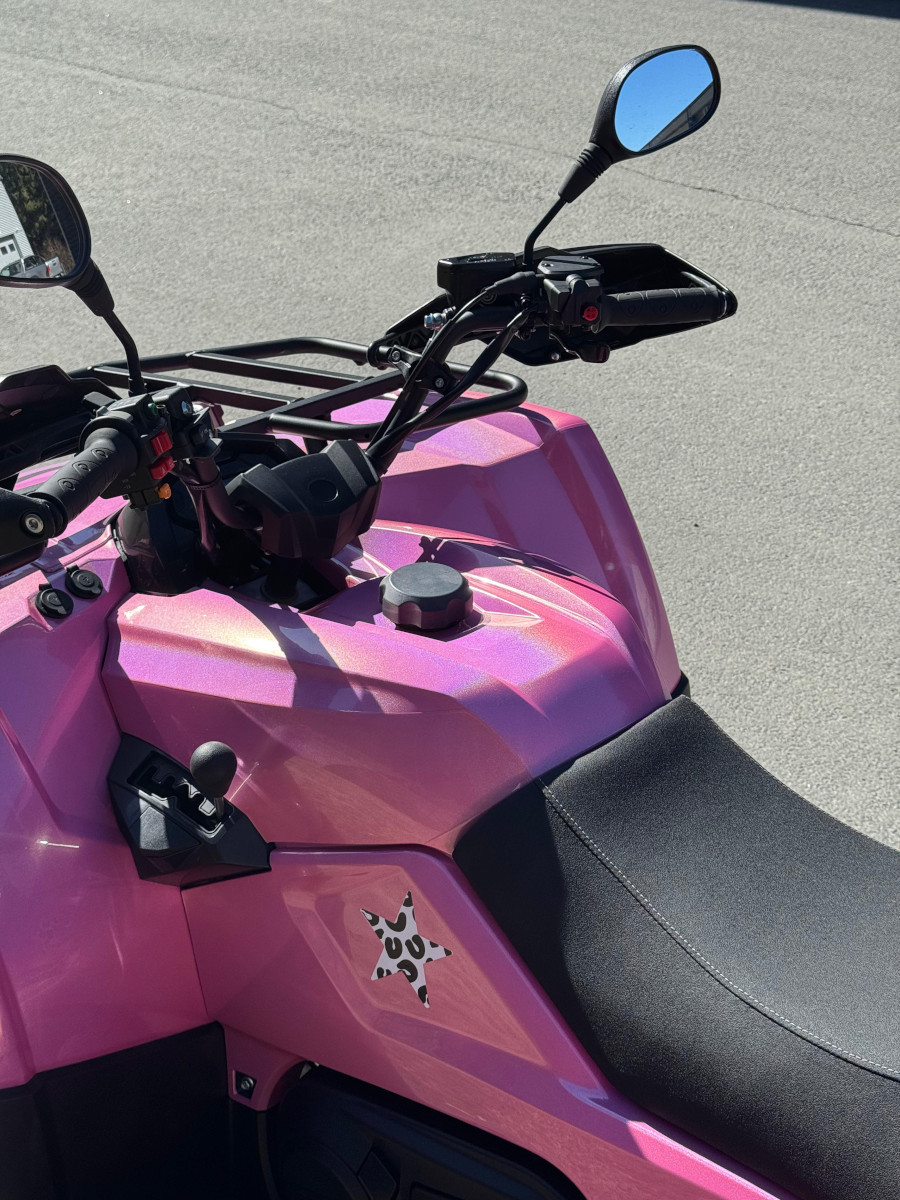 WunderVinyl SG+ Laser Pompadour Pink LT car wrap